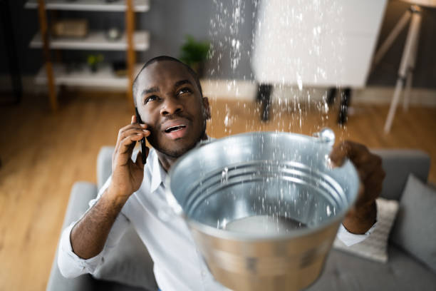 Best Water damage cleanup near me  in Yorktown Heights, NY