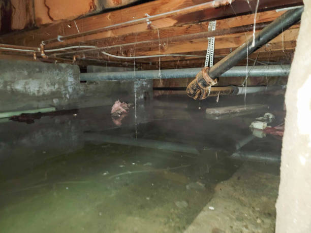 Best Emergency water damage restoration  in Yorktown Heights, NY