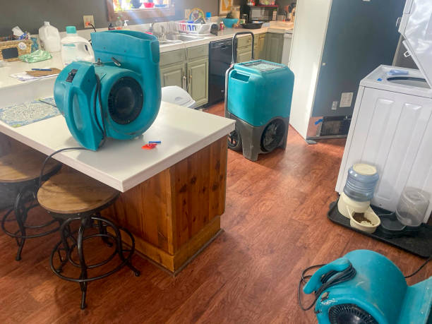 Best Local water damage restoration  in Yorktown Heights, NY