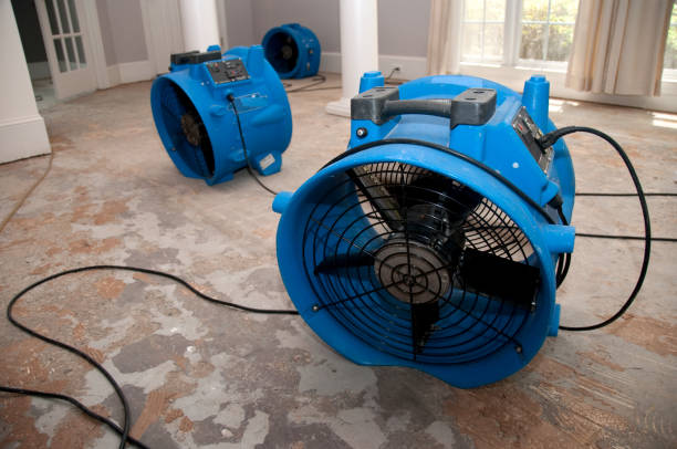 Best Water damage restoration experts  in Yorktown Heights, NY