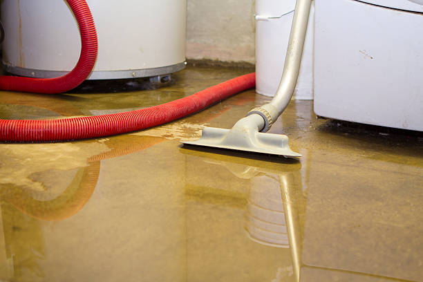 Best 24-hour water damage restoration  in Yorktown Heights, NY