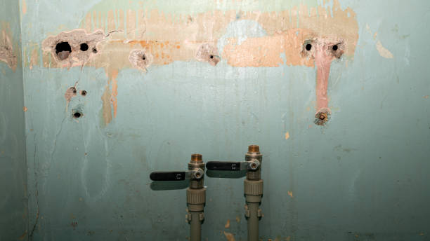 Best Sewage cleanup and water damage restoration  in Yorktown Heights, NY