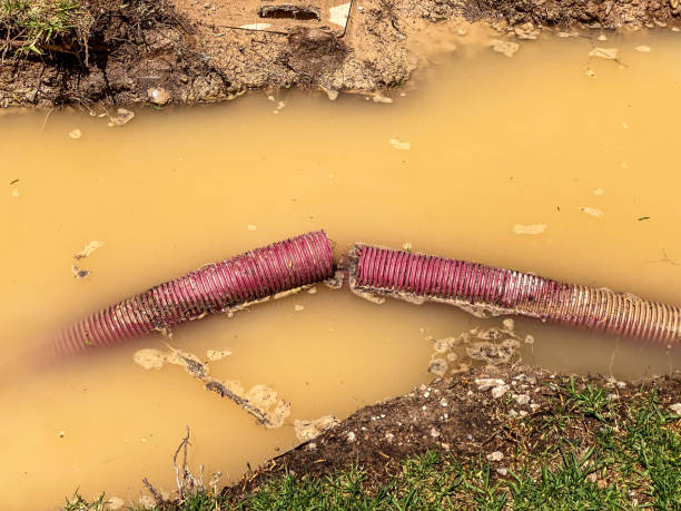 Best Sewage cleanup and water damage restoration  in Yorktown Heights, NY